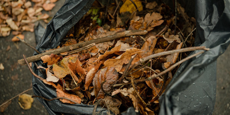 Lapu nodošanas iespējas Rīgā