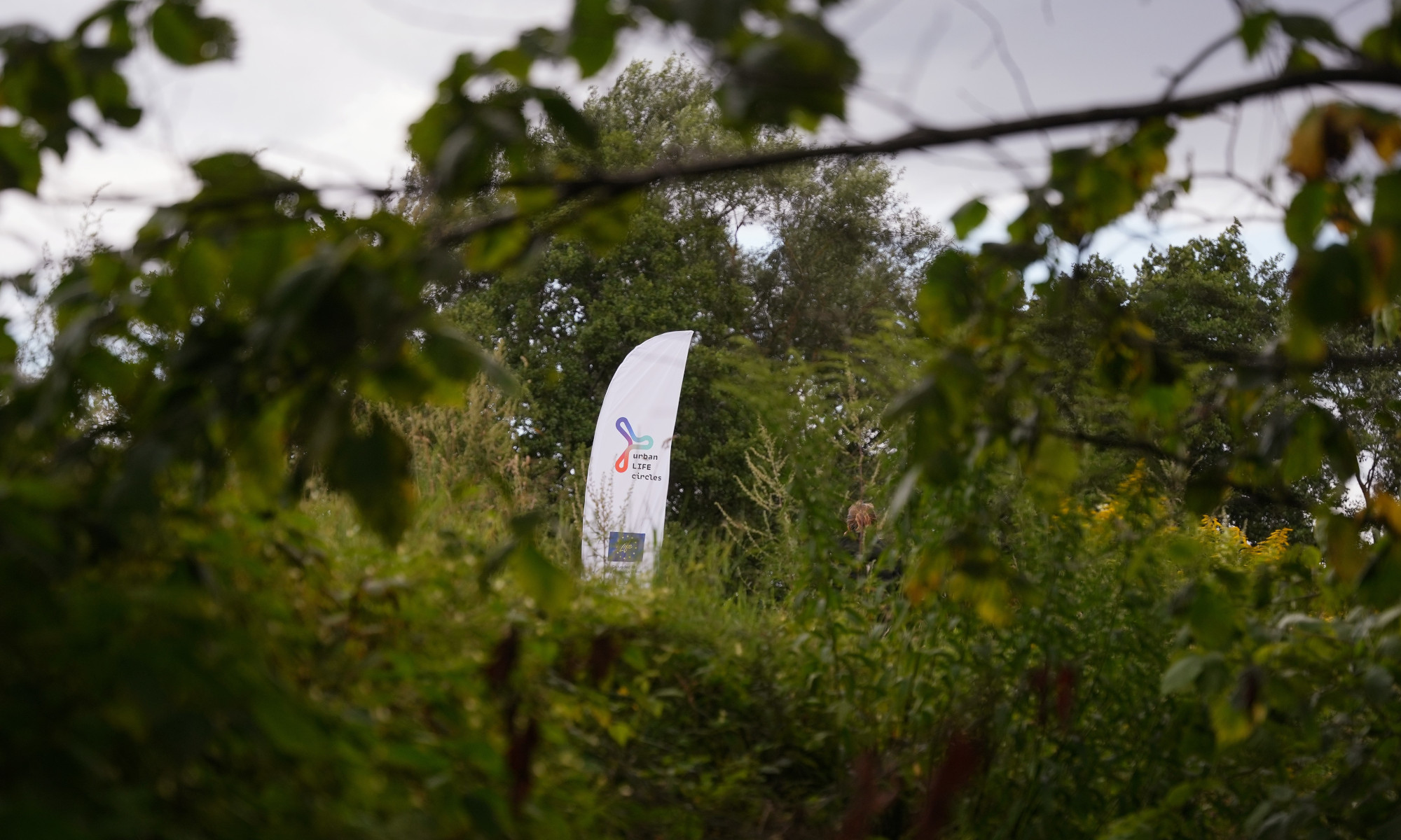 Pieteikšanās iniciatīvai Dabai draudzīgs rīdzinieks