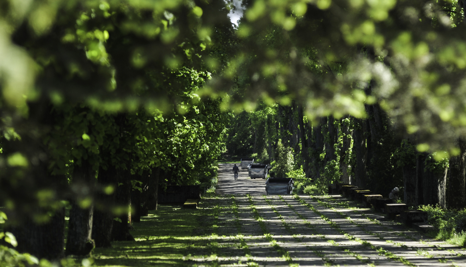 Konceptuālā ziņojuma par Rīgas valstspilsētas kapsētu attīstību un apsaimniekošanu 2026.–2035. g. 1. redakcijas sabiedriskā apspriede