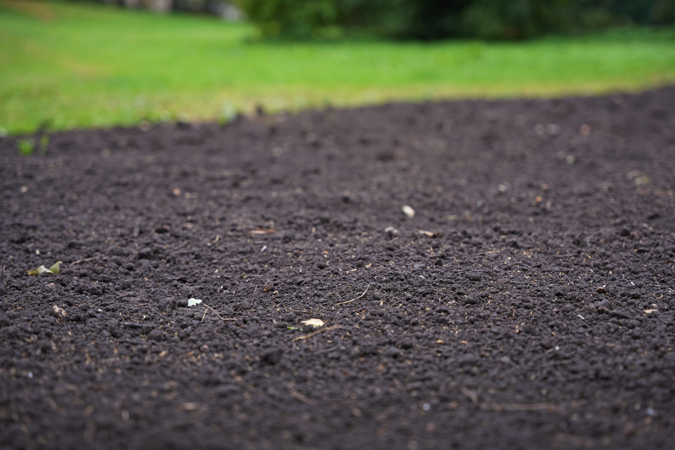 Riga’s residents associations are eligible for support in maintaining municipal areas